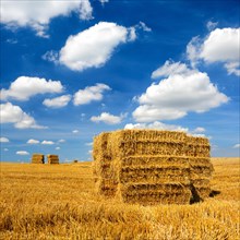 Stubble field with bales of straw in summer