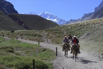 Three riders on mules