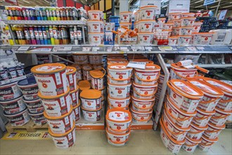 Wall and ceiling paint
