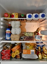 Refrigerator filled to overflowing during quarantine