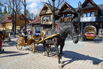 Horse-drawn carriage in the pedestrian zone and promenade Krupowki