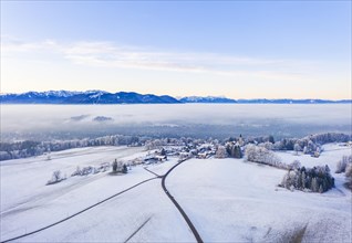 Winter landscape