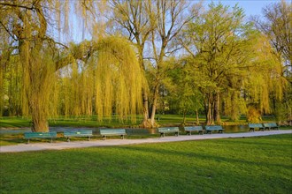 Deserted park benches at the Schwabinger Bach