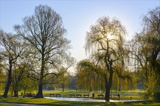 Schwabinger Bach in morning light