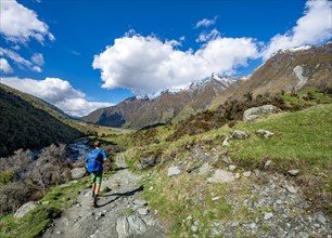 Hiker on trail to Rob Roy Glacier