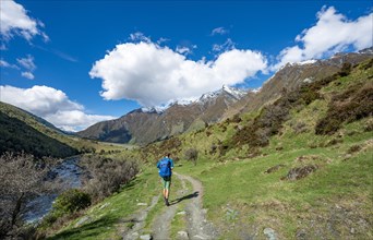 Hiker on trail to Rob Roy Glacier
