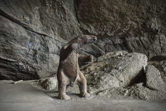 Reproduction of a prehistoric mylodon