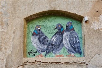 Pigeons as graffiti in a wall alcove