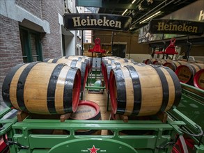 Wooden beer barrels in the Heineken brewery