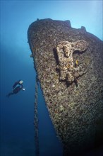 Diver viewing bow
