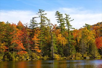 Baker Pond in autumn