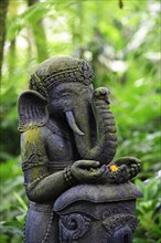 Ganesha Elephant God Statue at Mason Elephant Park & Lodge