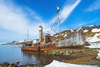 Wreck of the whaler ship Petrel