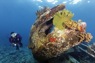 Diver viewing Malaysian shipwreck