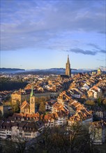 City view in the morning light, view from the rose garden to the old town