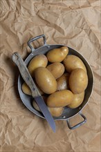 Potatoes in skin with knife, Germany