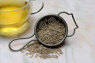 Caraway seeds in tea strainer and cup of caraway tea, food photography