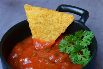 Salsa sauce in potty and tortillachip, Germany