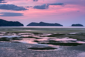 Pink evening mood at low tide, coast at Torrent Bay