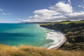 Castlepoint coastline, hilly landscape