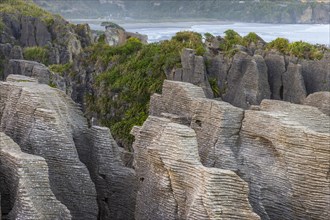 Rock formations of the Pancake Rocks, Paparoa National Park