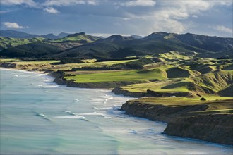 Castlepoint coastline, mountain landscape with green hills and pasture land