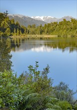Subtropical forest and mountain peaks under a blue sky reflected in the lake, Southern Alps