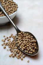 Coriander seeds in spoon, food photography
