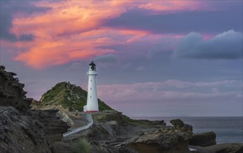 Lighthouse in the evening light under a pink cloudy sky on the cliffs at Castlepoint, Lavafels