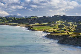 Castlepoint coastline, mountain landscape with green hills and pasture land