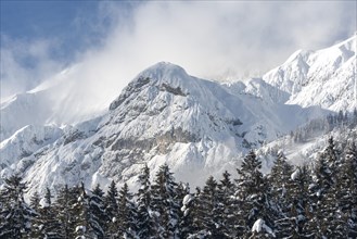 Baerenkopf in winter, Karwendel Mountains