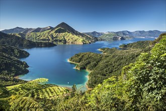 View over the Marlborough Sounds, turquoise sea