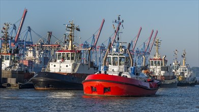 Tugboat in the Port of Hamburg, Hamburg