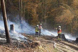 About 200 firefighters fight a forest fire in the Westerwald near Waldbreitbach. Due to the drought, a cleared area of about two hectares had caught fire. Breitscheid
