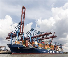 Port cranes in the Port of Hamburg unload container ships, Burchardkai