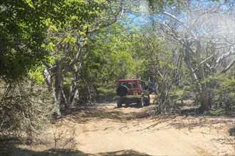 Jeep Safari on dusty roads, Oronjia Reserve