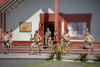 Welcome Ceremony, powhiri Cultural Performance
