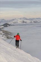 Skier standing at the ski slope