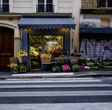 Various flowers decorated in front of a flower shop