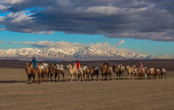 Mongolian nomads riding on camels through steppe