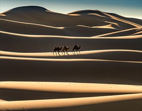 Nomads ride on Bactrian camels