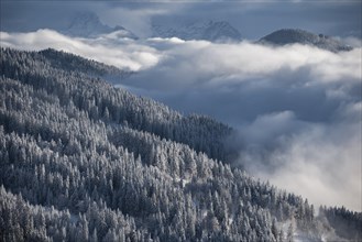 Snow-covered forest and mountains between clouds