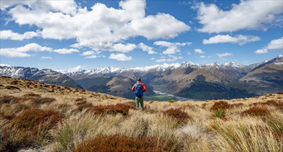 Hiker on the summit of Mount Alfred