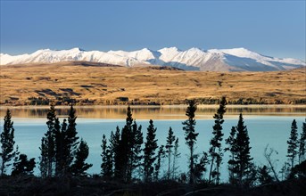 Lake Pukaki in front of snowy mountain range