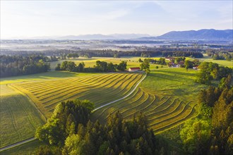 Mowed meadow and hamlet Hofstaett