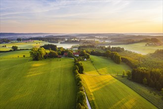 Weiler Waltersteig in the morning light