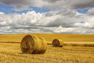 Bales of straw in harvested fields