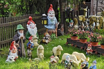 Garden gnomes with shepherd and sheep