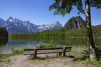 Bench on the shore of the Almsee