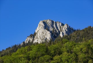 Summit of the Frauenkopf near Fuschl am See